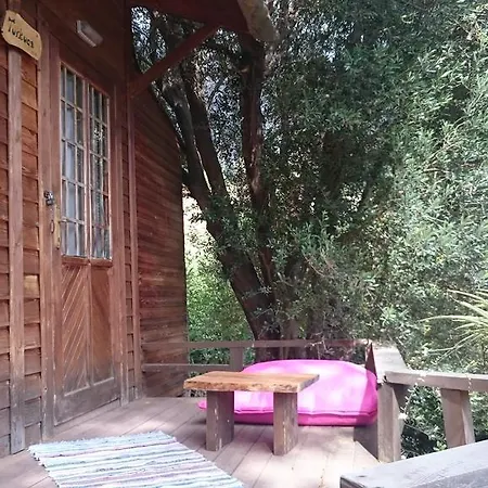 Yerdeniz Kamp