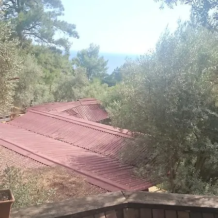 Yerdeniz Kamp Camping