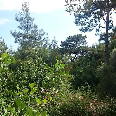 Camping Yerdeniz Kamp Öludeniz