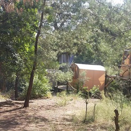 Yerdeniz Kamp Ölüdeniz